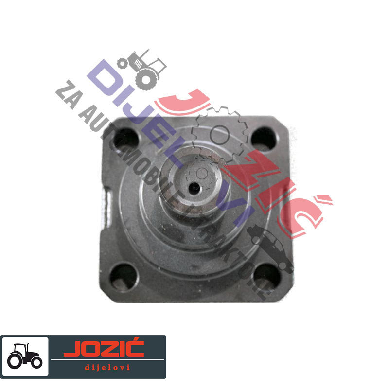 Daisy on the Ohoopee